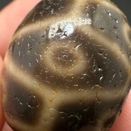 [Taiwan Dzi Beads] Taiwan Support Craftsmanship Dzi Beads Premium Teeth Yellow Tortoise Sheath Nine 