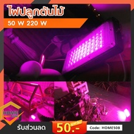 ไฟปลุกต้นไม้ ไฟช่วยต้นไม้ตัวเร็ว มีสวิตช์ปิดเปิด สายไฟยาว1.5เมตร 220V Full Spectrum LED Grow Light 50W