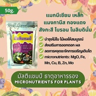 มัลติแชมป์ ธาตุอาหารรอง ธาตุอาหารเสริมต้นไม้ Micronutrients for plants MgO, Fe, Mn, Cu, B, Zn, Mo