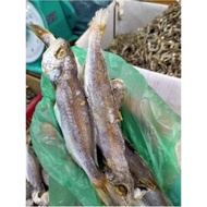 IKAN KERING GELAMA IKAN MASIN GELAMA