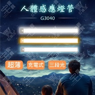 Thin Rechargeable Human Body Induction Lamp-30cm TYPE-C Lamp EDS-G3040 Ambient Light