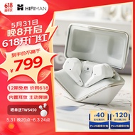 HIFIMAN（海菲曼）小天鹅Svanar Wireless Jr真无线主动降噪蓝牙耳机 入耳式无线耳机 HIFI音质