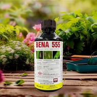 1L Bena 555 / Bena Hijau / Bena Perang / Pianggang / Belalang / Lelompat Daun / Kutu Beruang