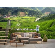 Wallpaper Photowall Mural 3D Pemandangan Sawah Natural