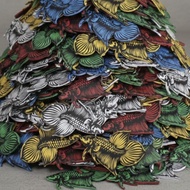 Betta Fish Lure Mahachai Bodhi Leaf Tail Each Piece Minimum 12 Pieces Order After The House 20 Can B