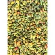 belinjo/kacang belinjo