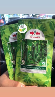 50g Benih Timun JUMBO GREEN / Timun Cap Panah Merah/ East West Seed