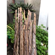 Silih silih Ascian silih Asian canang/