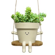 Swing Planter Pot Face Planter Pot Smiling Expression Outdoor Plants Succulent Pots For String Of Plant Live Gift Ideas For Mother Christmas unusual