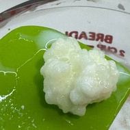 Milk kefir grains 奶克菲爾菌種 奶克bb