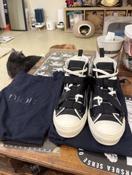 Dior x Alyx B23 crossover 鞋 converse