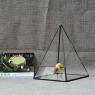 Flower House Glass Flower Cultivation Wholesale Indoor Bonsai Glass Box Eco-friendly New Creative Ar