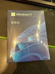 [龍龍3C] 微軟 Microsoft Windows 11 Pro 64Bit 中文版 專業版 盒裝版 Win11