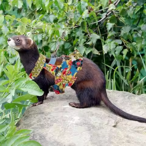 Multicolor Ferret Harness and Leash Set Floral Pattern Adjustable Strap Ferret Harness Vest Wear-res