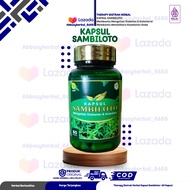 Abbasy Herbal Kapsul Sambiloto Andrographis Paniculata Therapy Ekstract Herbal isi 60Kapsul