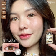 Bigeye Supassara gray brown คอนเเทคเลนส์กรองเเสง สีเทา สีน้ำตาล Maya
