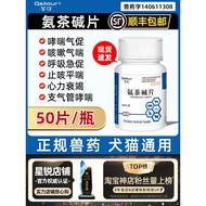 Ammonia Tea Alkali Tablets Pets Dogs Cats Asthma Medicine Asthma Medicine Dogs Heart Medicine Fat Me