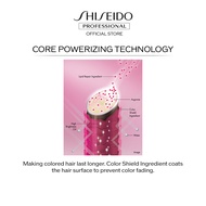 [2.2 Exclusive] SUBLIMIC Luminoforce Duo For Coloured Hair (Shampoo 250ml & Treatment 250g) by Shise