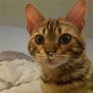 battery cr2032 2025.