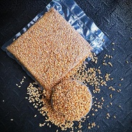 Asli GANDUM UTUH IMPORT - WHOLE WHEAT - SUPER GRADE - HARGA PER KILO