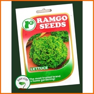▧ ✧ Ramgo Lettuce Lollo Bionda Seeds