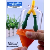 MINGRENBANG | Educational DIY Science Project Material