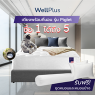 Wellplus เตียงพร้อมที่นอน รุ่น Piglet ซื้อ 1 ได้ถึง 5 ที่นอนสามารถเลือกได้ ยางพารา&สปริง แถมฟรี แถมห