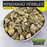 Assorted Mindanao Pebbles - 1kg (Medium)