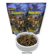 Maggot Barca(Maximal Progress Organic Feed)(Makanan Channa & Ikan Predator lain)(Makanan Tambahan Le