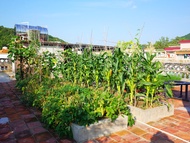 Dongli 3+1 Fellow Friends Inn