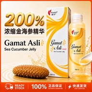 Insaan Gamat Asli Sea Cucumber Jelly (500ml) Pati Gamat Asli 金海参精华 Joint Pain Gastric Wellness