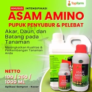 Asam Amino Pertanian / Asam Amino Nutrisi Tanaman / Pupuk Asam Amino Super /  Pupuk Asam Amino Untuk
