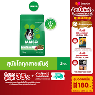 IAMS โปรแอคทีฟ เฮลท์ อาหารสุนัขแบบแห้ง สูตรสุนัขโต 3 กก.