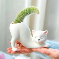 Cartoon Cute Cat Tail Post Succulent Flowerpot Imitation Ceramic Indoor Balcony Plant Monkey Tail Ca