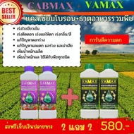 ( 2แถม2 ) CABMAX แคลเซียมและโบรอนเข้มข้น + VAMAX ธาตุอาหารรวมเข้มข้น รวม 4 ลิตร