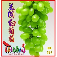California Raisins [Qisheng Food] – [Huguang Herbal Materials] No. 74, Section 1, Dihua Street [02-2