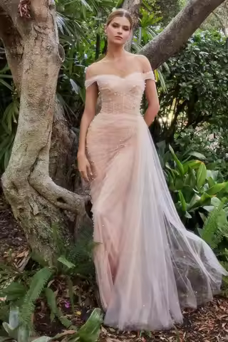 Blush Pink Off Shoulder Mother of the Bride Gown Long Mother of the Groom Gown Formal Evening/Prom G
