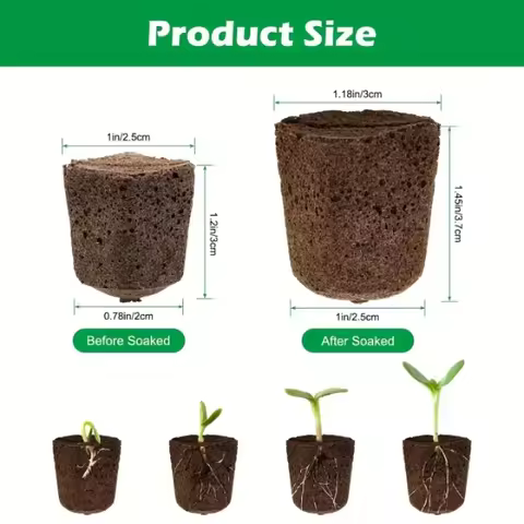 Seedling Starter Sponge Kit for Hydroponic Indoor Garden Systems, Featuring Growth Sponges, with See