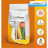 ♗Biji Benih Jagung Manis Sweetcorn seeds  甜玉米种子 – CROP POWER ( SS932) 500g❋