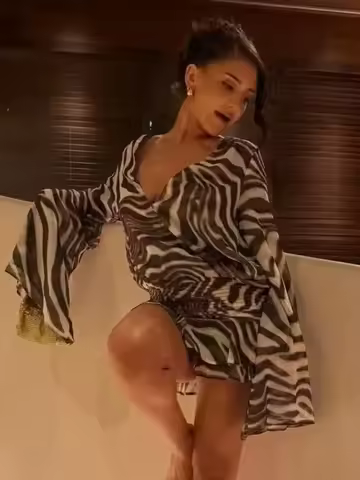 Women's Zebra Print Long Sleeve Mini Dress Zebra Print Long Sleeve Mini Dress Party Club Zebra Print