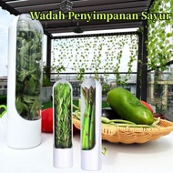 Vegetable Herb Storage Container Onion Celery Basil Fresh Herbal Storage Box