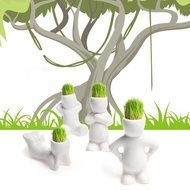 [Hot K] ตุ๊กตาหญ้าบอนไซดอกไม้สำหรับประดับตกแต่งใหม่4รูปทรงผมคนขี้เกียจสีขาวปลูกต้นไม้ DIY ขนาดเล็กสวนต้นไม้แคระพืชประดิษฐ์ตกแต่งบ้าน