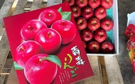 【香甜預購！青森正一級富士蘋果-半箱16顆裝】#32日本富士 又脆又甜送禮首選