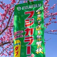 桑惠商號 昭和日本製 富士FUJIFILM 特別色印刷廣告旗幟 直式