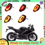 Motorcycle Rear LED Dynamic Brake Light Taillight for  R15 V3 2017-2022 V4 R15M 2023+ Turn Signal Li