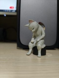 鐵拳浪子 矢吹丈 貓