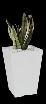 URBANFARM.MY - FELTON Square Flower Pot White 2453 Pasu Bunga dan Sayur