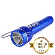 L-538 MINI MP3 PLAYER 150 LUMEN LED FLASHLIGHT SPEAKER FM RADIO FUNCTION (BLUE)