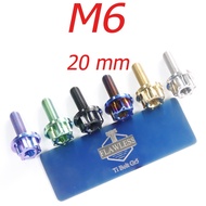Flawless-Ti M6x20 Gr5 Titanium Bolts CNC Bolts Front Fender Exhaust Pipe Footboard Bolt For Honda PC