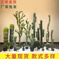 Artificial Green Plant Cactus Office Bionic Mall Hotel Fake Green Plant Fake Plant Ornament Landscap
